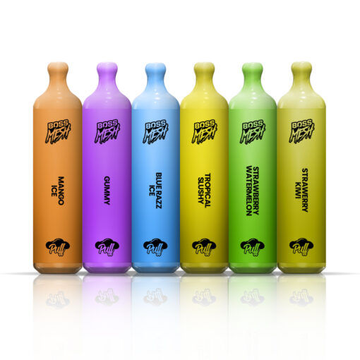 Puff Boss Mesh Disposable Vape