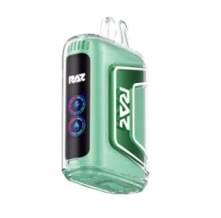 RAZ Vape TN9000 Disposable Miami MInt